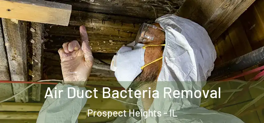  Air Duct Bacteria Removal Prospect Heights - IL