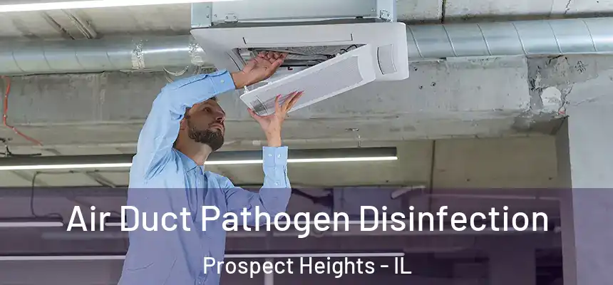  Air Duct Pathogen Disinfection Prospect Heights - IL