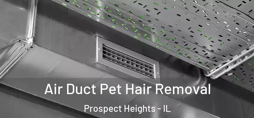  Air Duct Pet Hair Removal Prospect Heights - IL