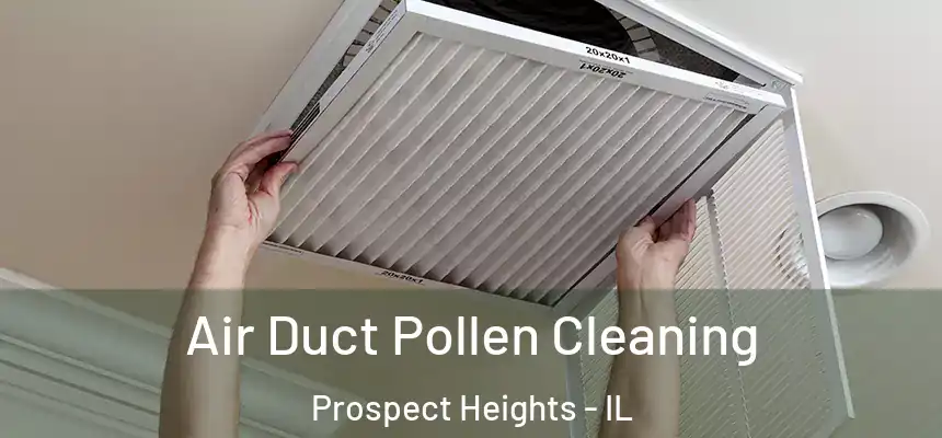  Air Duct Pollen Cleaning Prospect Heights - IL