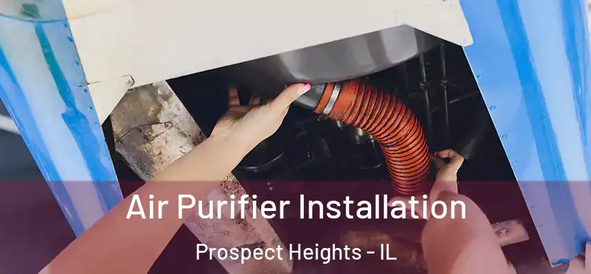  Air Purifier Installation Prospect Heights - IL