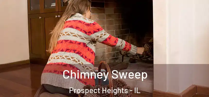  Chimney Sweep Prospect Heights - IL
