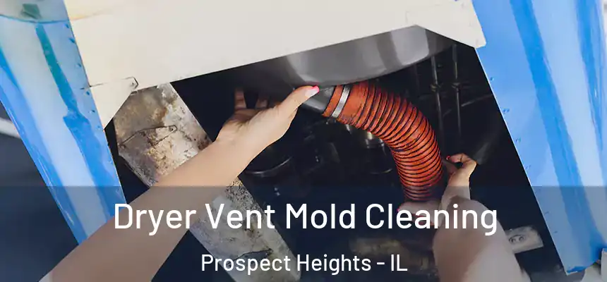  Dryer Vent Mold Cleaning Prospect Heights - IL
