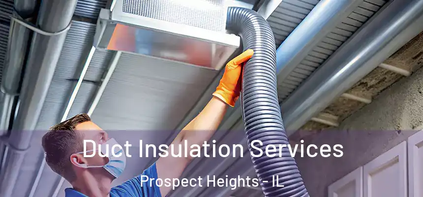  Duct Insulation Services Prospect Heights - IL