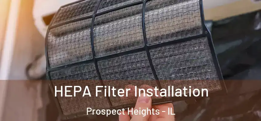  HEPA Filter Installation Prospect Heights - IL