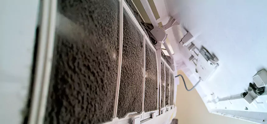 Preventive Air Duct Bacteria Removal in Prospect Heights