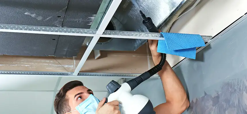 Our Air Duct Rodent Removal Services in Prospect Heights, IL