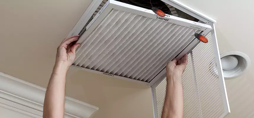 Our Insect Removal from Air Ducts Services in Prospect Heights, IL
