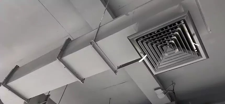 Our Pest Removal From Ducts Services in Prospect Heights, IL