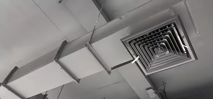 Our Rodent Droppings In Vents Services in Prospect Heights, IL