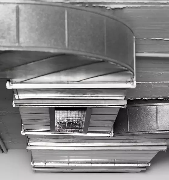 Professional Air Duct Pest Removal in Prospect Heights, IL