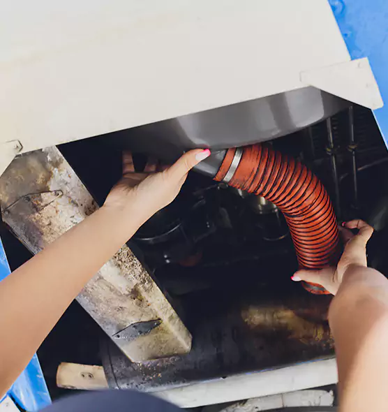 About Air Duct Virus Disinfection in Prospect Heights, IL