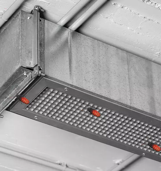 Affordable Insect Removal from Air Ducts in Prospect Heights, IL