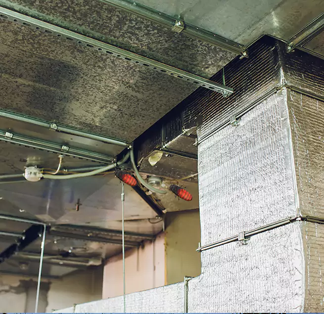 Why Homeowners & Businesses Trust Us in Prospect Heights, IL?