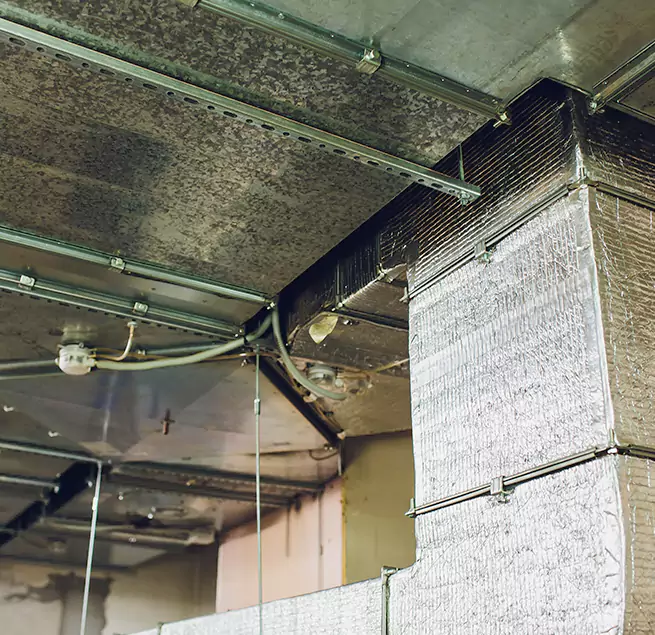 Why Homeowners & Businesses Trust Us in Prospect Heights, IL?